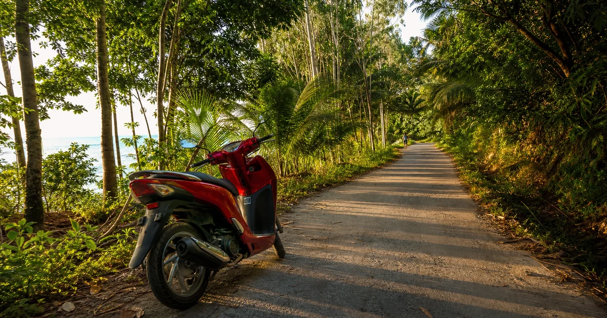 A scooter rider on a quiet jungle road in Phu Quoc with palm trees and dappled sunlight, viewed from behind